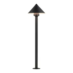 Alumilux: Landscape Cone Light with 24" Pole