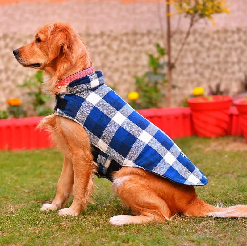 Goofy Tails Reversible Winter Jacket for Dogs and Puppies- Blue Checked/ Olive Green