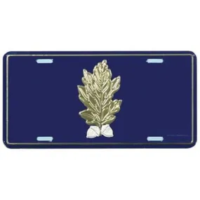 Navy Dentist License Plate