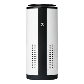 Negative ion vehicle air purifier