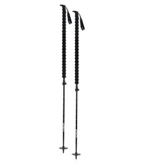 Pahto Ski Pole