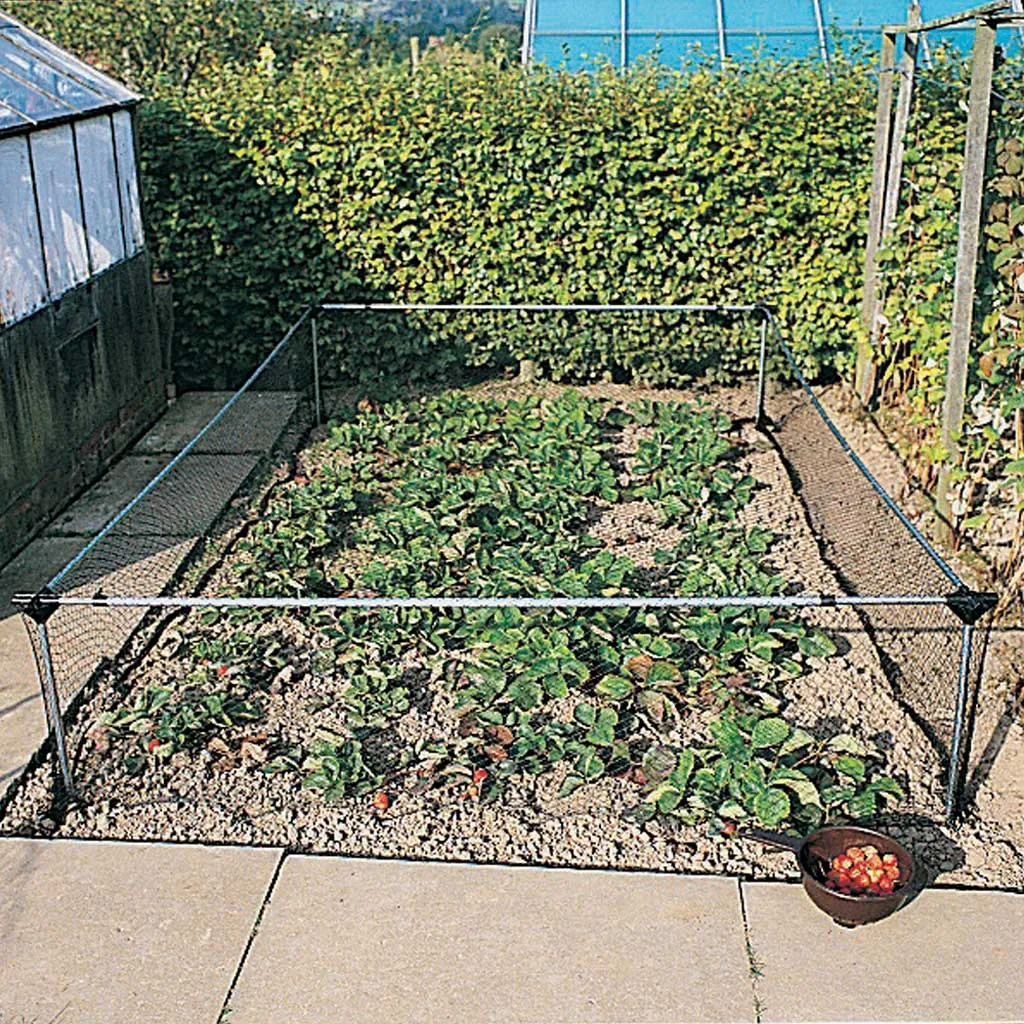 Strawberry & Vegetable Cage